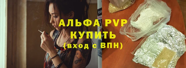 дживик Арсеньев