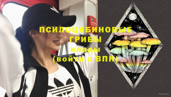 амф Аркадак