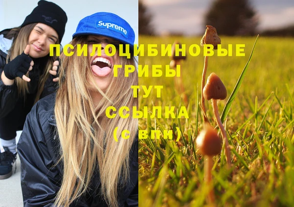 spice Армянск