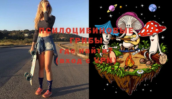 амф Аркадак