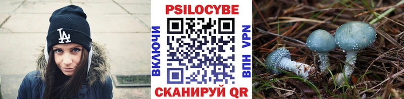 Псилоцибиновые грибы ЛСД Лосино-Петровский